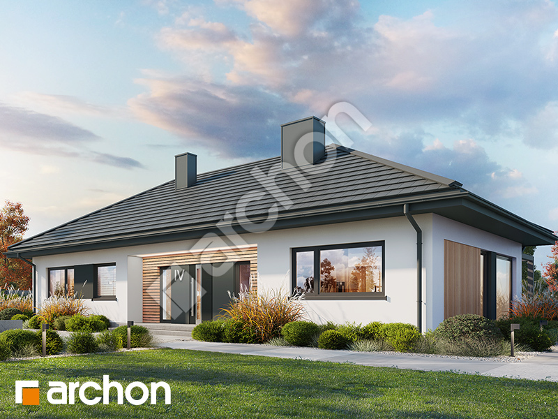 Dom w kosaćcach 50 - wizualizacja 2