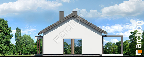 Dom-w-rarytasach-5-ae__265