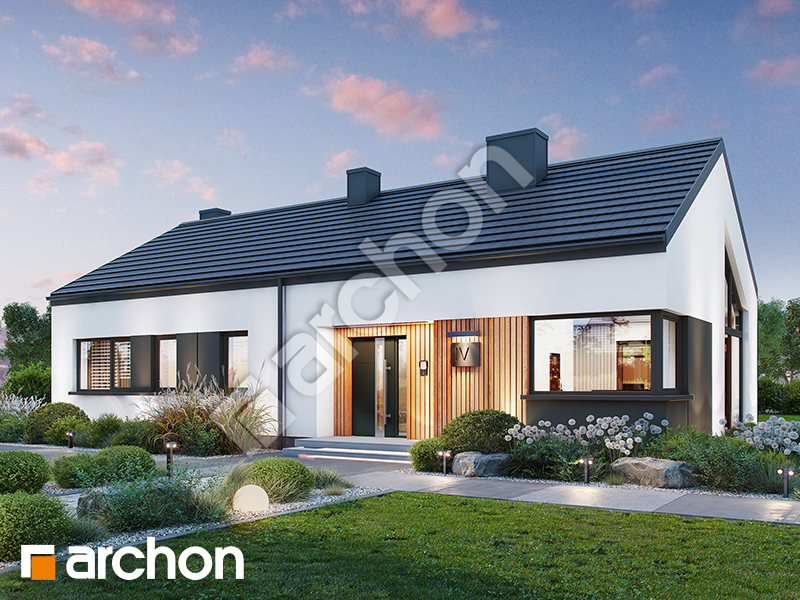 Dom w goldstarach 2 - wizualizacja 1