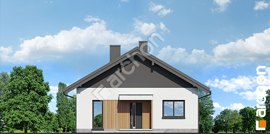 Dom-w-zywokostach__264