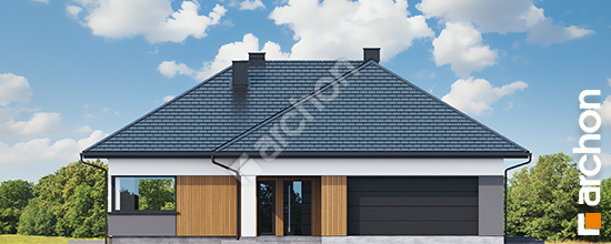 Dom-w-bengali-g2e__264