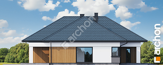 Dom-w-bengali-g2e__266