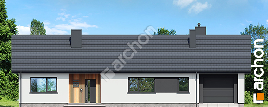 Dom-w-skalnicach-4-g__264