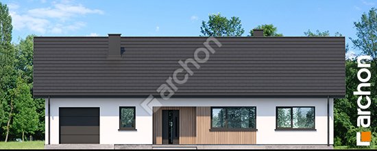 Dom-pod-hebanowcem-5-ge__264