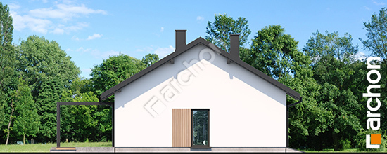 Dom-pod-hebanowcem-5-ge__265