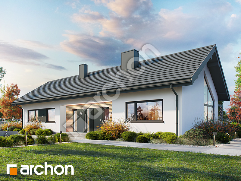 Dom w kosaćcach 16 (A) - wizualizacja 2