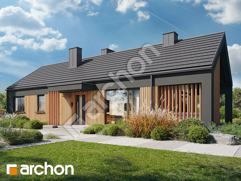 Dom w kosaćcach 22 - wizualizacja 2