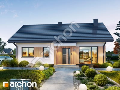 Dom w kosaćcach 54 (E)