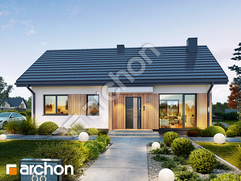 Dom w kosaćcach 54 (E) - wizualizacja 1