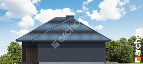 Dom-pod-sakura-e__265