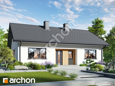 Dom w lipiennikach 12