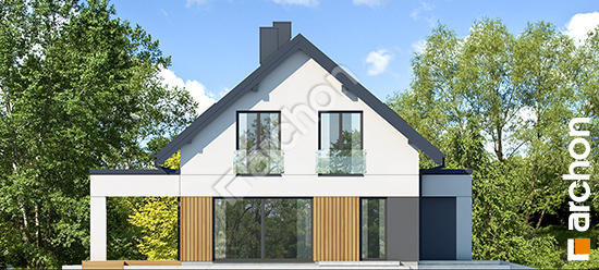 Dom-w-afaskach-3-g2ae__266