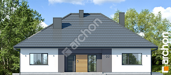 Dom-w-litodorach__264