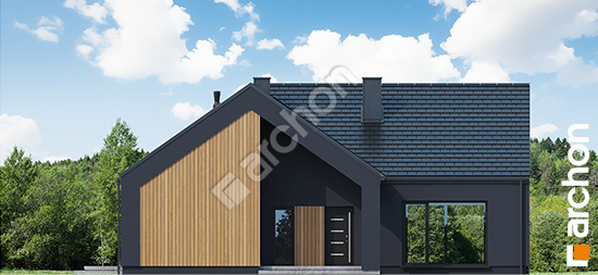 Dom-w-marunach-e__264