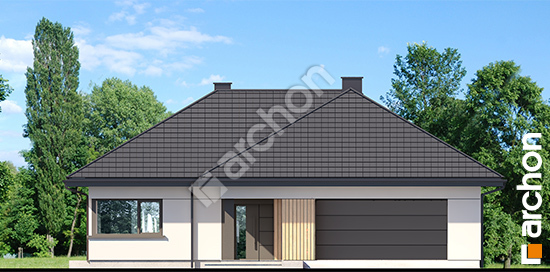 Dom-w-tymotkach-2-g2e__264