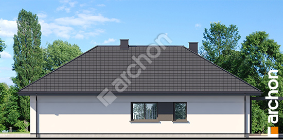 Dom-w-tymotkach-2-g2e__265