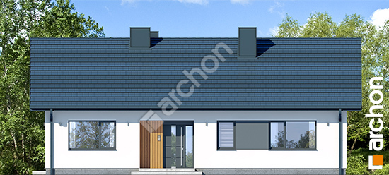 Dom-w-lipiennikach-10__264