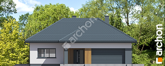 Dom-w-anodach-g2e__264